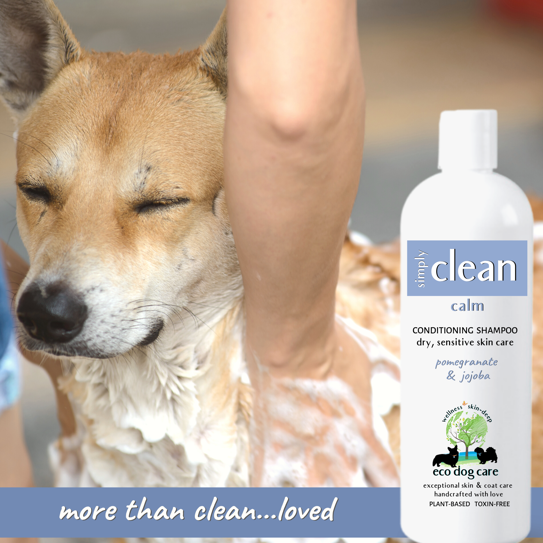 Simply Clean-Calm Shampoo  (Dry, Sensitive Skin Care)